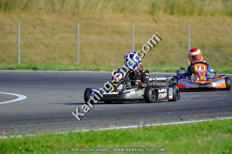 DSC_ (927).jpg
